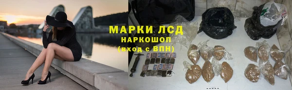 spice Алзамай