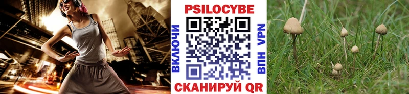 Псилоцибиновые грибы Cubensis  сколько стоит  OMG рабочий сайт  Долинск 